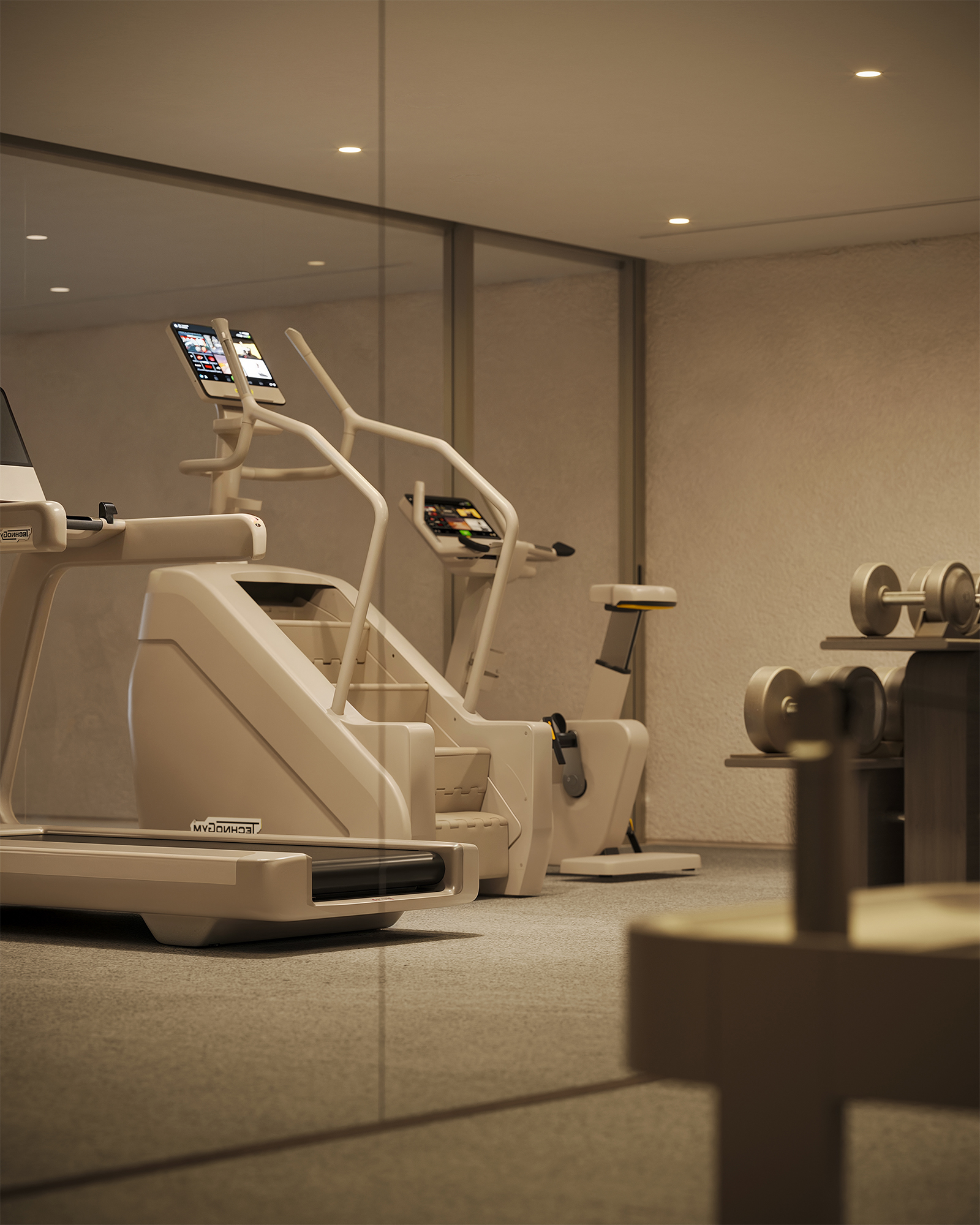 Academia equipada Technogym — VIE Vieira Souto