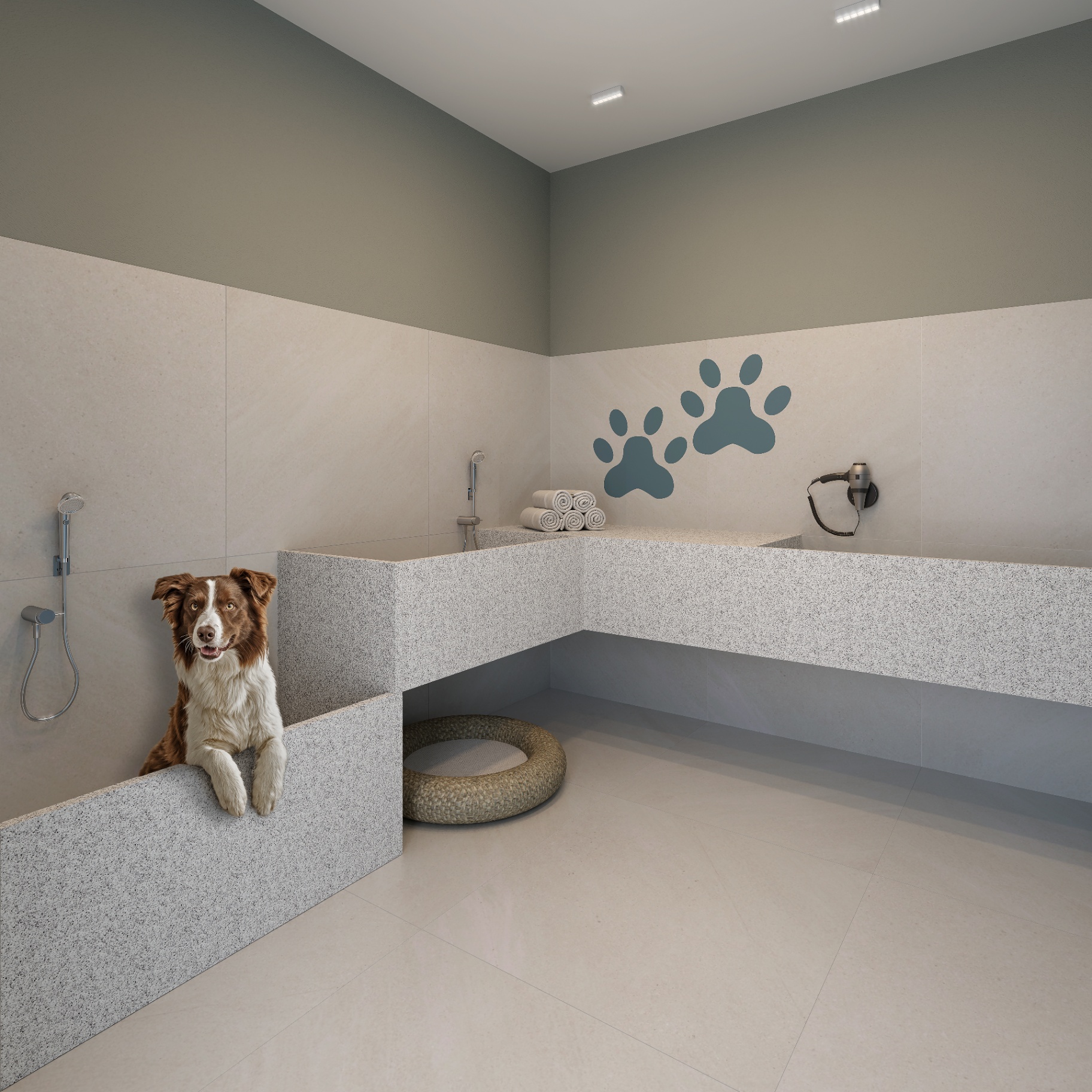 Pet care com banho e tosa — Connect Centro