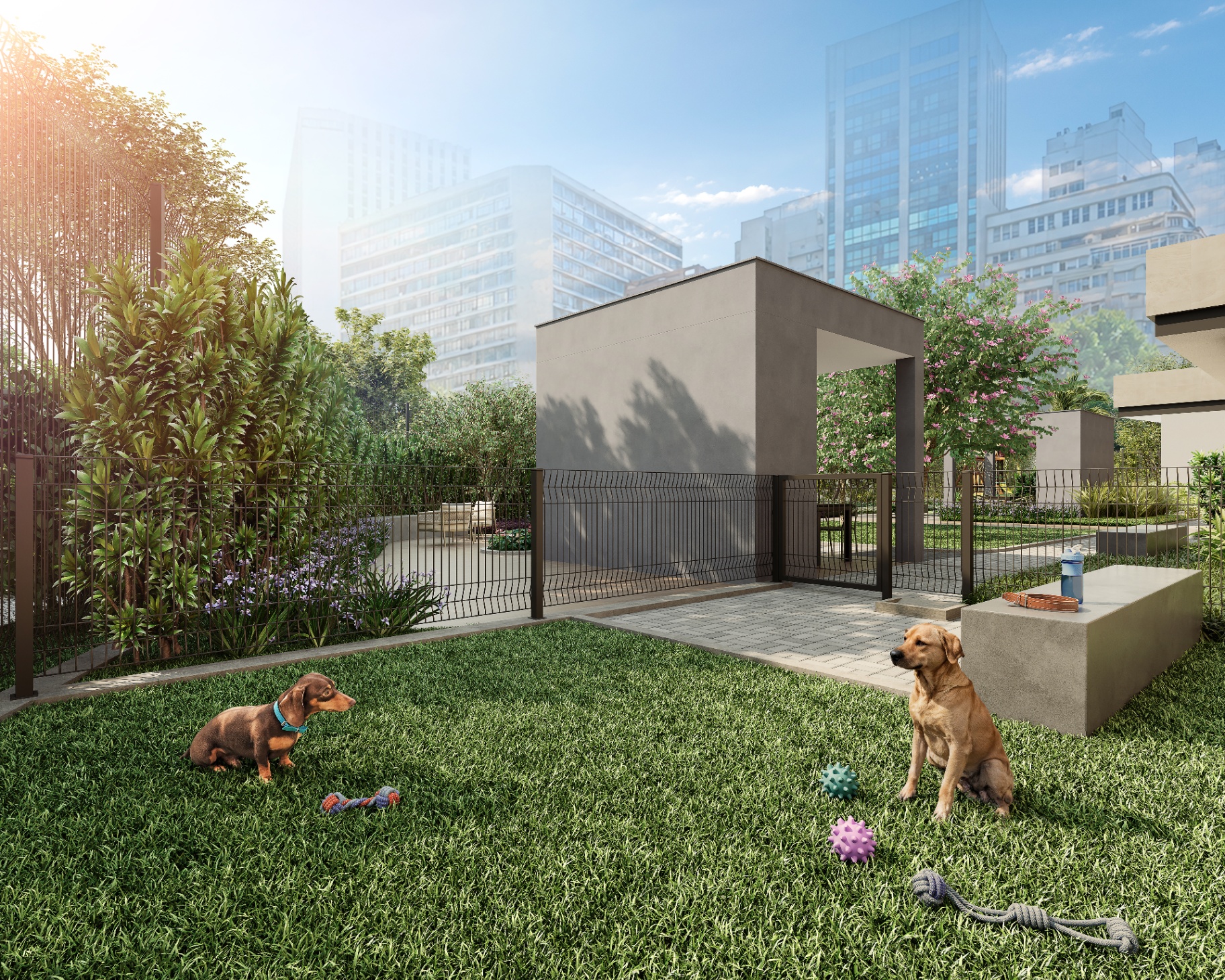 Pet place ao ar livre com vista para o Centro — Connect Centro
